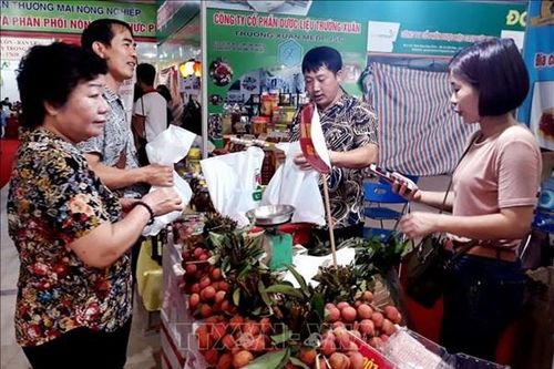 Sắp diễn ra chuỗi sự kiện xúc tiến thương mại các tỉnh, thành phía Nam