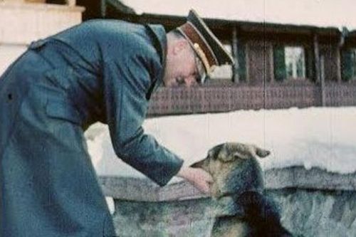 Con chó cưng được Hitler yêu chiều hơn cả tình nhân