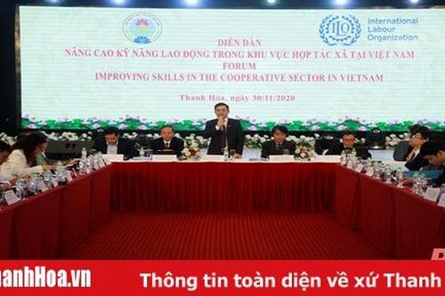 Nâng cao kỹ năng lao động trong khu vực HTX tại Việt Nam