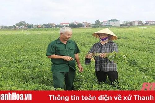 Nâng cao hiệu quả kinh tế sản xuất vụ đông