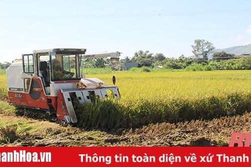 Ứng dụng tiến bộ khoa học, kỹ thuật trong sản xuất lúa, gạo