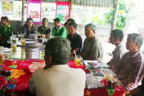 Nông dân 'vùng trong' liên kết trồng cây ăn trái
