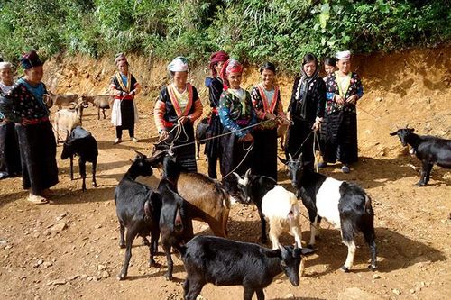 Xây dựng thôn, bản nông thôn mới