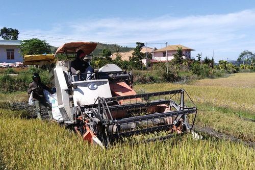 Lâm Đồng: Giảm nghèo với mục tiêu ''Không để ai bị bỏ lại phía sau''
