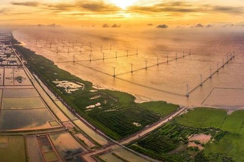 Đồng bằng sông Cửu Long: Thích ứng để phát triển bền vững