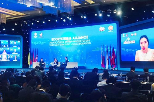 Carnival Doanh nhân trẻ ASEAN lần thứ V