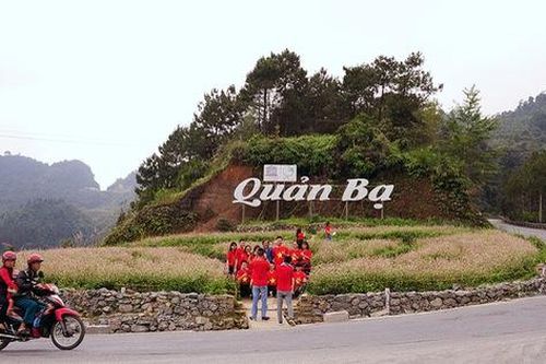 Hoa tam giác mạch Hà Giang nở rộ khiến du khách mê mải quên lối về
