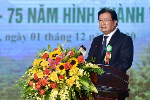 75 năm giữ màu xanh cho đất nước