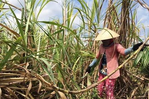 Đường ngoại 'báo hại' đường nội và giải pháp trong tình hình mới