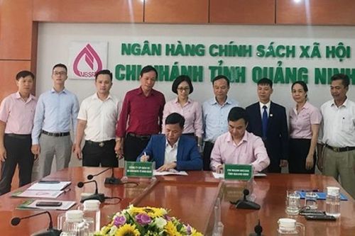 Hỗ trợ lao động bị ngừng việc tại Quảng Ninh do ảnh hưởng dịch Covid-19
