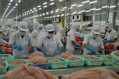 Xuất khẩu thủy sản năm 2020 dự báo đạt gần 8,6 tỷ USD