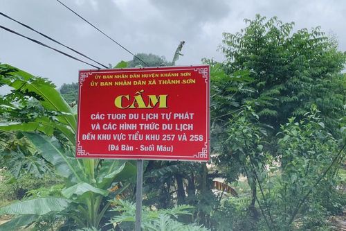 Nhóm du khách mắc kẹt, mất liên lạc trên núi Tà Giang đã trở về an toàn