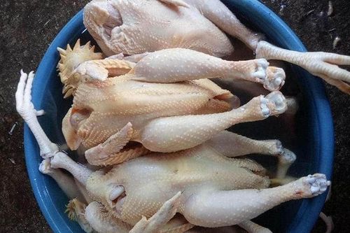 Sự thật gà ri đặc sản 45.000 đồng/con bán tràn 'chợ mạng'