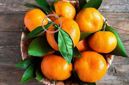 Chị bán hoa quả tiết lộ 4 cách chọn quýt đường ngọt, thơm mà không phải ai cũng biết