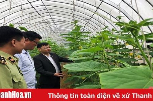 Giám sát công tác đảm bảo vệ sinh an toàn thực phẩm tại 2 huyện Quảng Xương và Nga Sơn