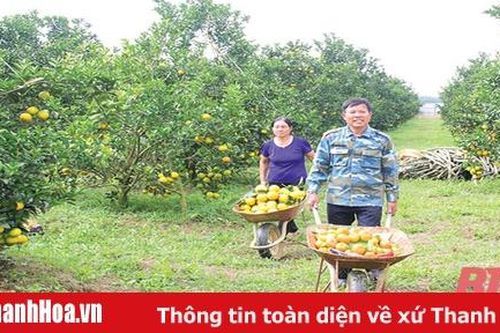 Hiệu quả nguồn vốn Quỹ hỗ trợ phát triển HTX