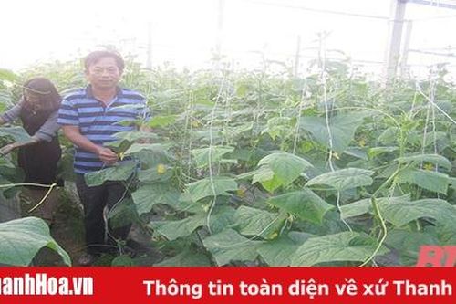 Huyện Hậu Lộc xây dựng nông thôn mới gắn với phát triển sản xuất, nâng cao đời sống Nhân dân