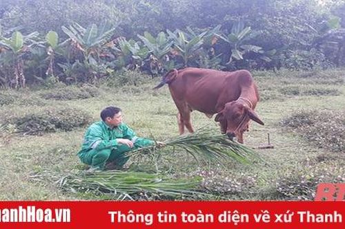 Dự án nhân rộng mô hình giảm nghèo ở thị xã Nghi Sơn