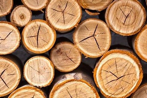 Sức bật 'tỷ đô' của ngành công nghiệp gỗ