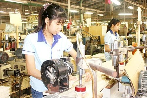 Doanh nghiệp Đồng Nai trên ''sân chơi'' RCEP