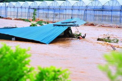 Lạc Dương: Hạn chế sử dụng nhà kính trong phát triển nông nghiệp