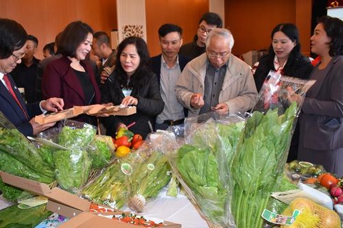 145 mô hình liên kết giữa hợp tác xã với doanh nghiệp