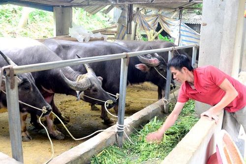 Sự hài lòng của người dân 'thước đo' nông thôn mới