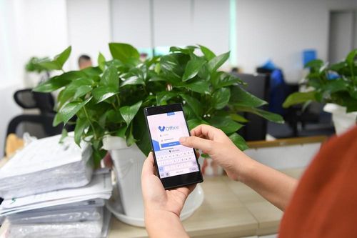 Viettel chính thức cung cấp dịch vụ Mobile CA