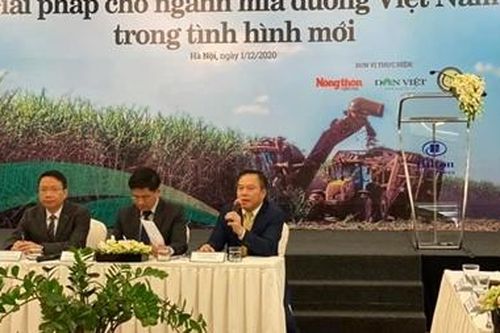 Cần quyết liệt chống buôn lậu để 'cứu' ngành mía đường