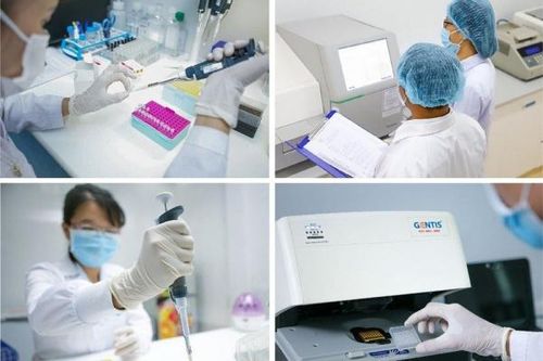 Tin vui cho các gia đình mang gen bệnh thalassemia và các bác sĩ hỗ trợ sinh sản
