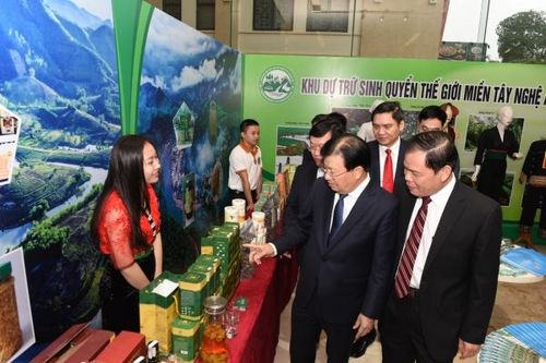 Phó Thủ tướng dự, chỉ đạo hội nghị thúc đẩy sản xuất, chế biến và xuất khẩu lâm sản