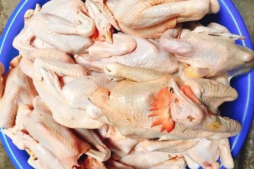 Gà ri giá rẻ chỉ 45.000 đồng/con
