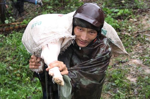 Người dân băng rừng vượt qua khu sạt lở trên quốc lộ 26