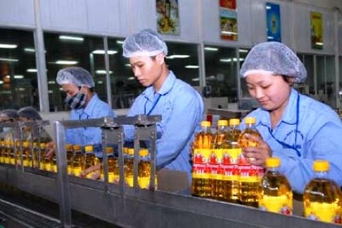 SCIC thoái vốn hơn 44 triệu cổ phần tại TCT Công nghiệp Dầu thực vật Việt Nam