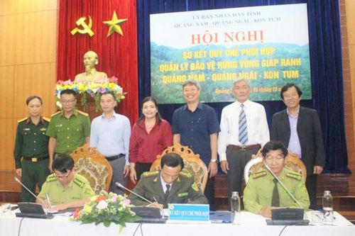 Giữ rừng giáp ranh