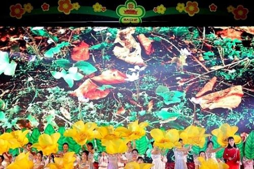 Sắp diễn ra Lễ hội Trà hoa vàng huyện Ba Chẽ lần thứ III