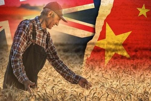 Nguy cơ chiến tranh thương mại Australia-Trung Quốc 'căng như dây đàn' và cái giá của sự phụ thuộc