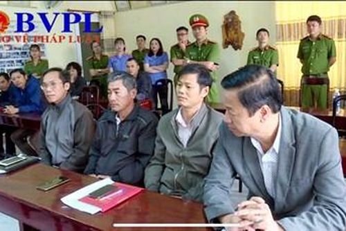 Hàng loạt cán bộ, lãnh đạo Công ty Lâm nghiệp... tiếp tục bị khởi tố, bắt giam