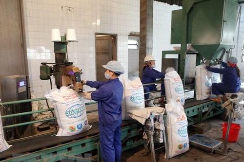 Không tổ chức phiên đấu giá hạn ngạch thuế quan nhập khẩu đường