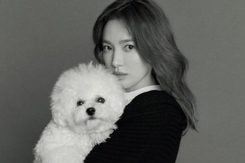 Dù ly hôn hay tái hôn, Song Hye Kyo vẫn hot nhất Hàn Quốc: 'Chị sợ quá cơ!'