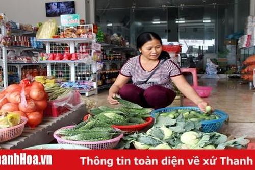 Kết quả từ phát triển kinh tế theo hướng đa dạng ngành nghề ở xã Điền Trung