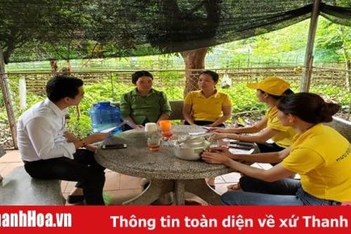 BHXH huyện Bá Thước nỗ lực hoàn thành chỉ tiêu phát triển BHXH tự nguyện