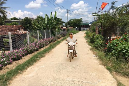Những con đường hoa của phụ nữ Đak Pơ