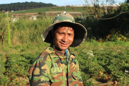 Ha Sinh và chuyện làm giàu từ cây đương quy