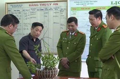Cảnh báo thủ đoạn 'Hô biến' lan phi điệp tím thành lan đột biến HO