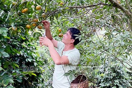 Diện mạo nông thôn mới Chiềng Cọ