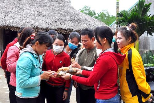 Dạy nghề gắn với nhu cầu thực tiễn của nông dân
