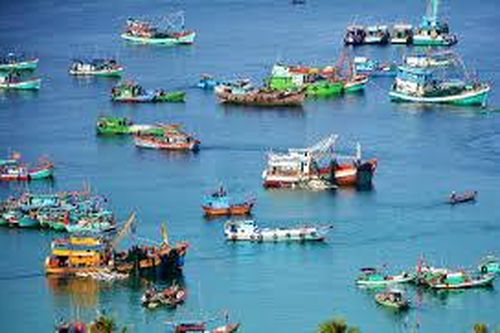 Thực trạng và giải pháp phát triển ngành khai thác thủy sản tỉnh Bình Định