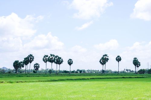 2 ngày khám phá Cần Thơ - An Giang