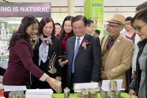 Khai mạc Hội chợ triển lãm nông nghiệp quốc tế AgroViet 2020
